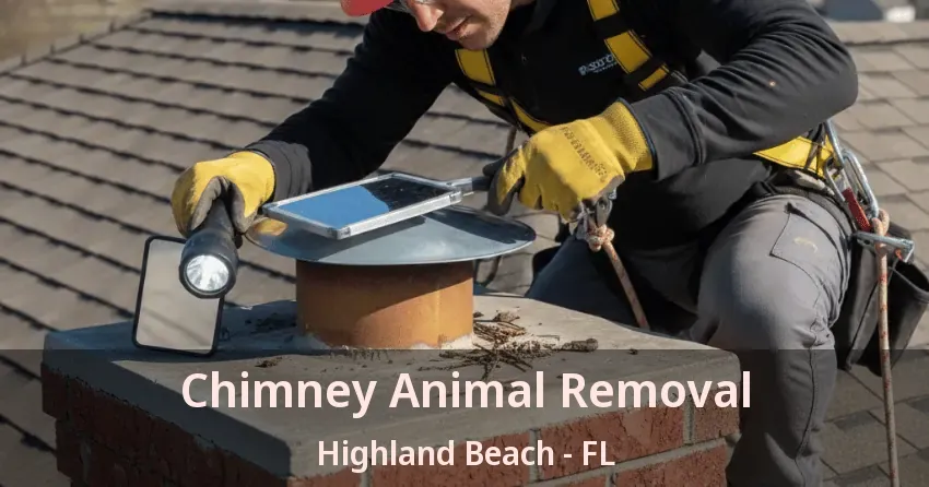 Chimney Animal Removal Highland Beach - FL