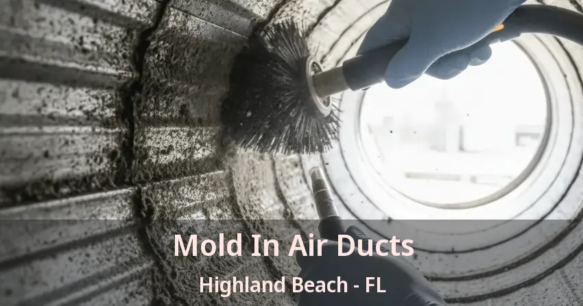 Mold In Air Ducts Highland Beach - FL