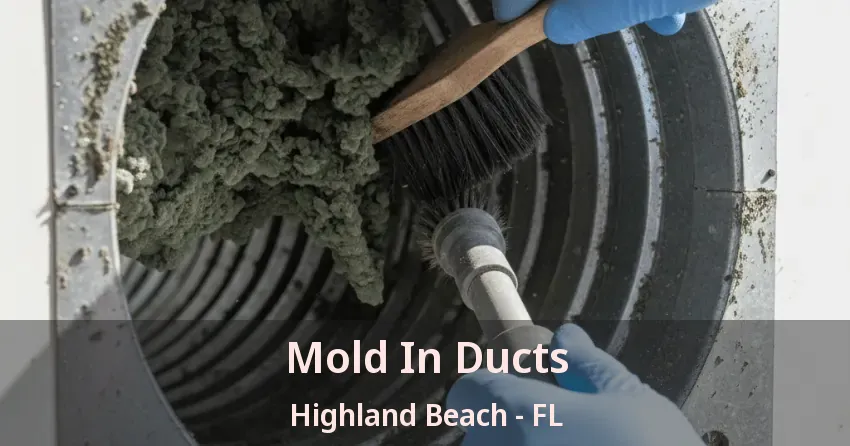 Mold In Ducts Highland Beach - FL