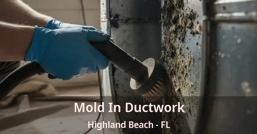 Mold In Ductwork Highland Beach - FL